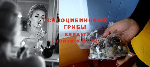 МДПВ Волоколамск
