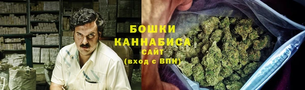 сатива Верхний Тагил