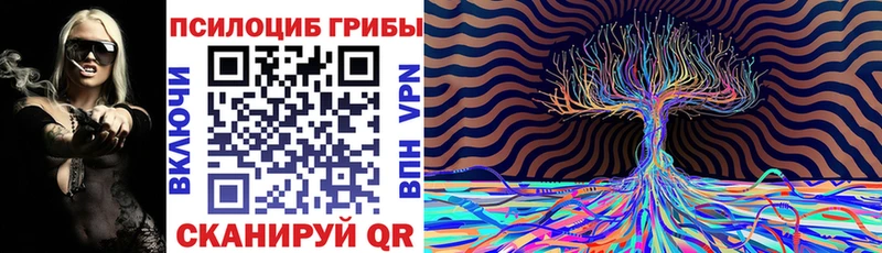 магазин продажи Ирбит mega tor Галлюциногенные грибы Psilocybine cubensis